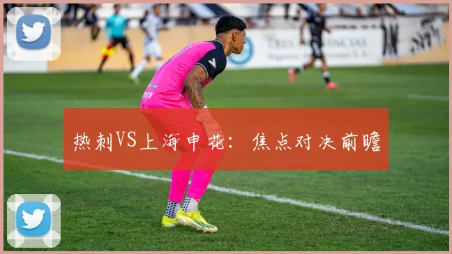 热刺VS上海申花:焦点对决前瞻