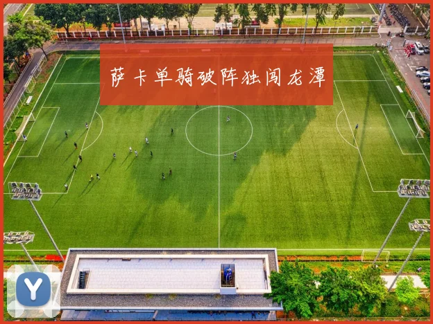 萨卡单骑破阵独闯龙潭