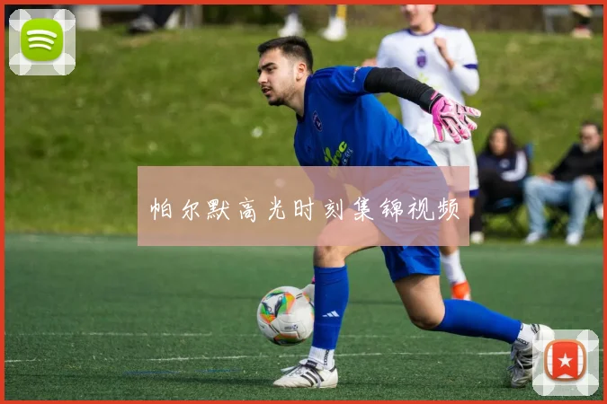 帕尔默高光时刻集锦视频