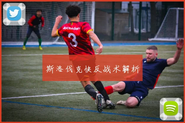 斯洛伐克快反战术解析