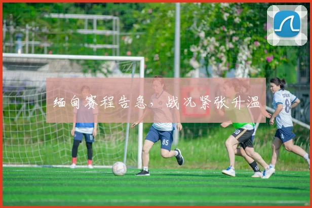 缅甸赛程告急，战况紧张升温