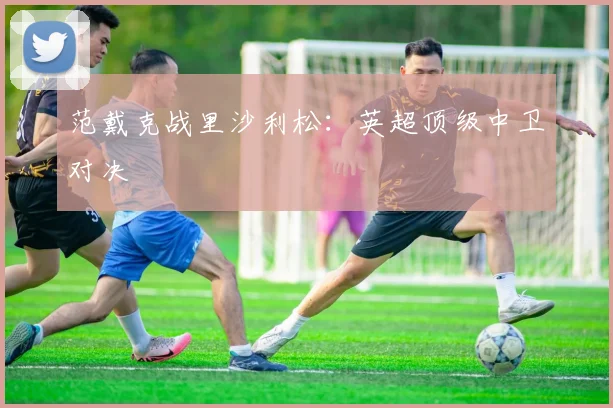范戴克战里沙利松：英超顶级中卫对决