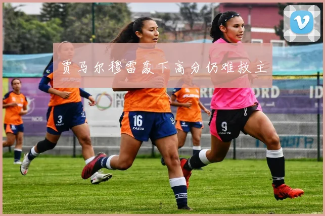 贾马尔穆雷轰下高分仍难救主