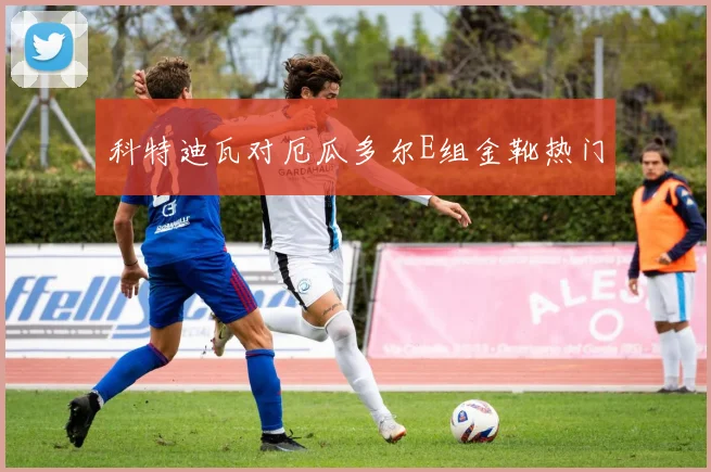 科特迪瓦对厄瓜多尔E组金靴热门