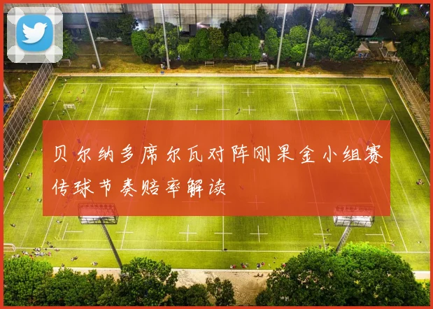 贝尔纳多席尔瓦对阵刚果金小组赛传球节奏赔率解读