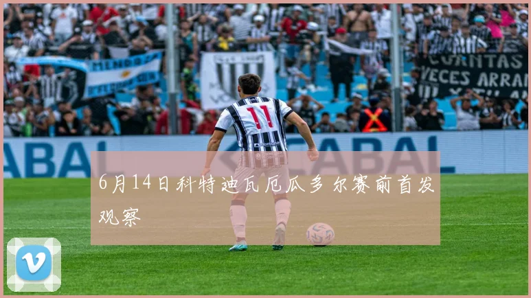 6月14日科特迪瓦厄瓜多尔赛前首发观察