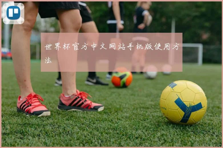 世界杯官方中文网站手机版使用方法