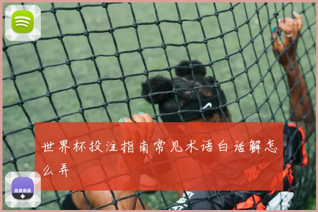 世界杯投注指南常见术语白话解怎么弄