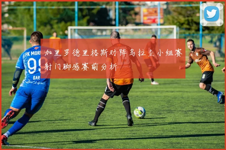 加里罗德里格斯对阵乌拉圭小组赛射门脚感赛前分析
