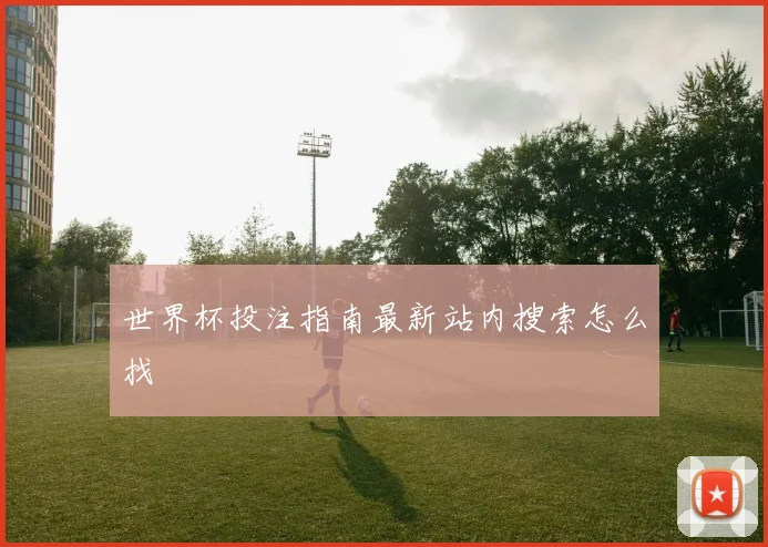 世界杯投注指南最新站内搜索怎么找
