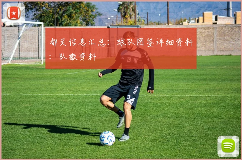 都灵信息汇总：球队图鉴详细资料：队徽资料